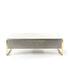 FUMÉE Rectangular Coffee Table – Brass Artistry Meets Smoky Steel